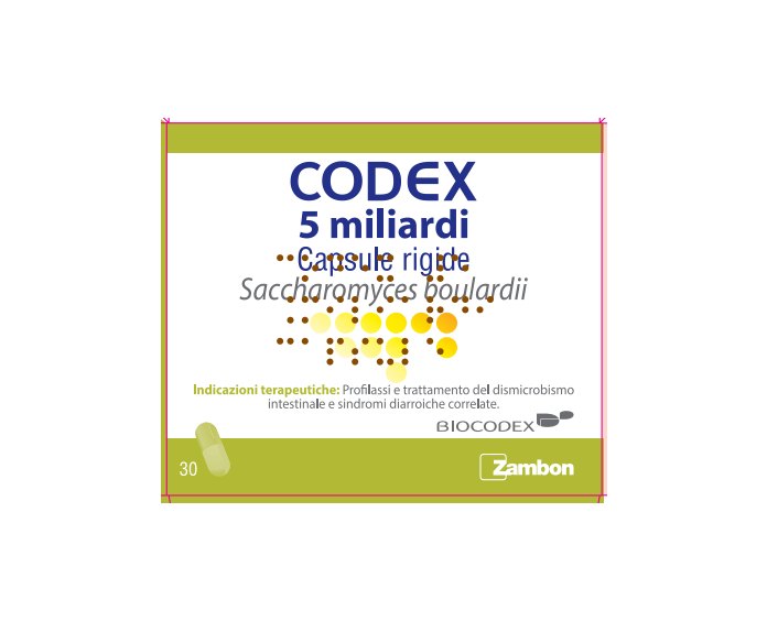 CODEX*30CPS 5MLD 250MG - Farmavicinoate