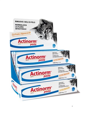 ACTINORM PASTA GATTI 65 G - Farmavicinoate