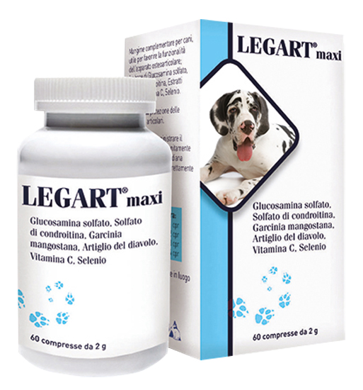 LEGART MAXI 60 COMPRESSE 2 G - Farmavicinoate