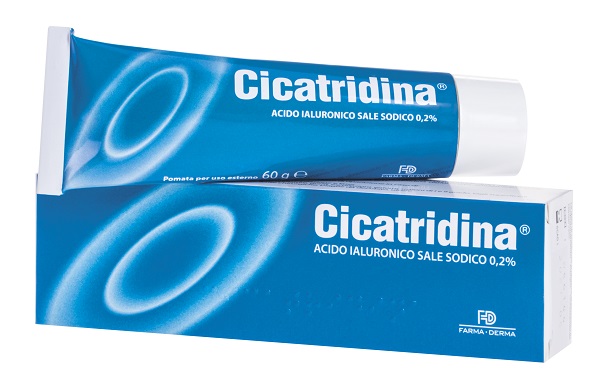 CICATRIDINA POMATA 60 G - Farmavicinoate