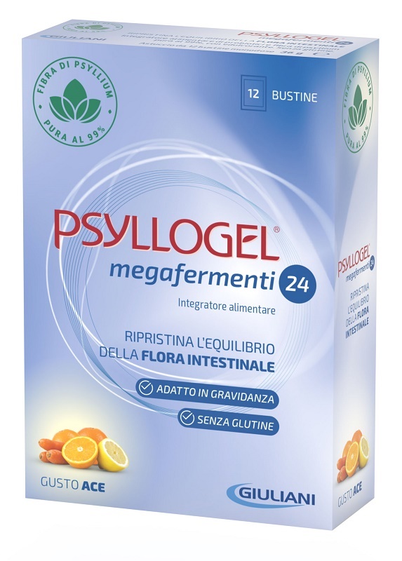 PSYLLOGEL MEGAFERMENTI 24 ACE 12 BUSTE 3 G - Farmavicinoate