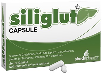 SILIGLUT 20 CAPSULE - Farmavicinoate
