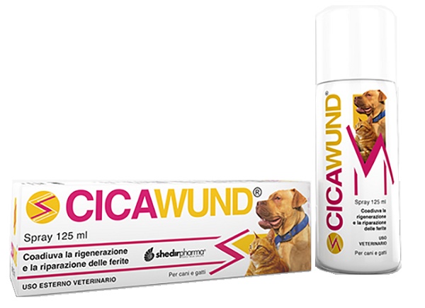 CICAWUND SPRAY 125 ML - Farmavicinoate