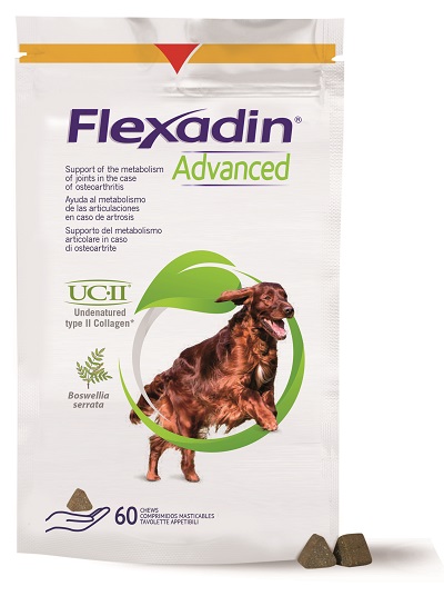 FLEXADIN ADVANCED CANE TUTTE LE TAGLIE 60 TAVOLETTE APPETIBILI - Farmavicinoate